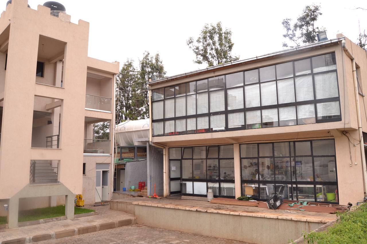 Grand Gato Hotel And Tours Harar Luaran gambar